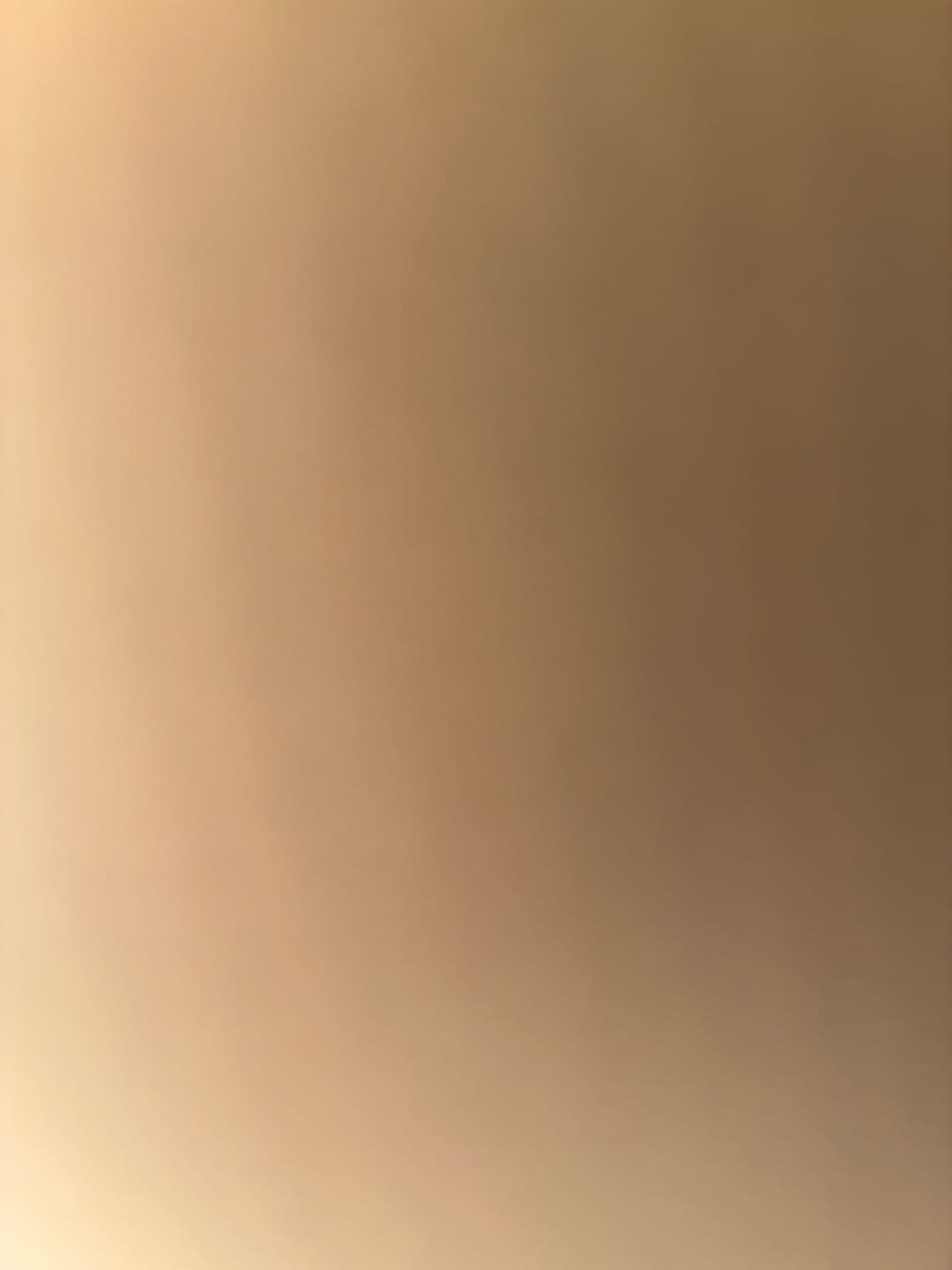 Customer photo review of Redlight Steamy Brush