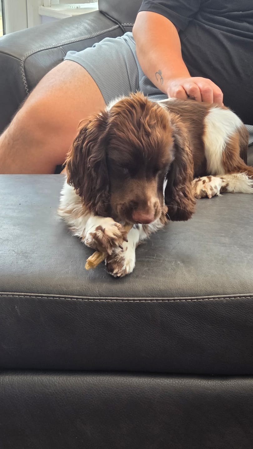 Customer photo review of Buffalo Gullet (100g)