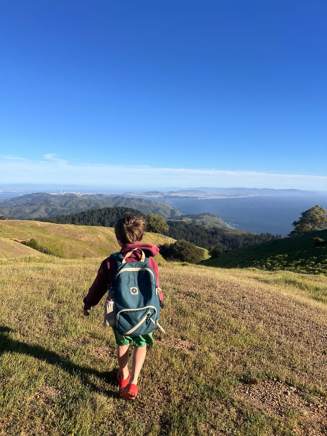 Customer photo review of Tiny Tommy Pack Navy