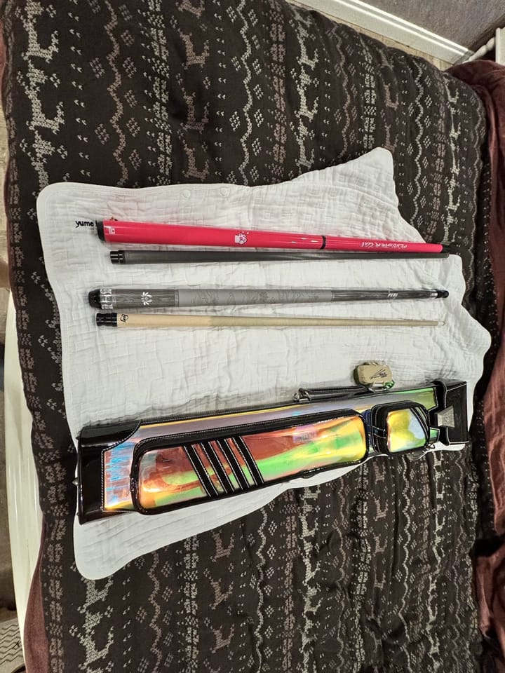 Customer photo review of Lizard Interpretation Series Cue Case 2B4S