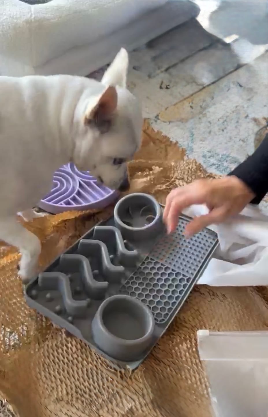 Customer photo review of Large Grey Snuffle Mat
