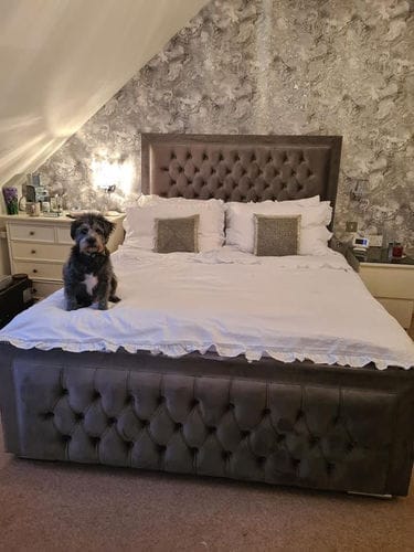 Customer photo review of Gracie Bumber Square Chesterfield Bed