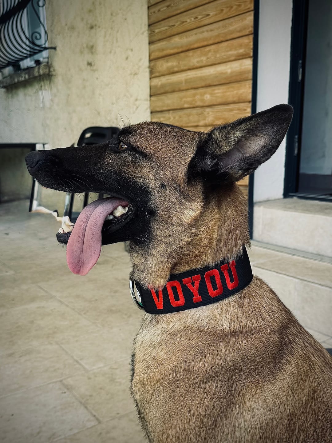 Customer photo review of 5cm Combat® Collar | NO Handle & Secure Clip - Black