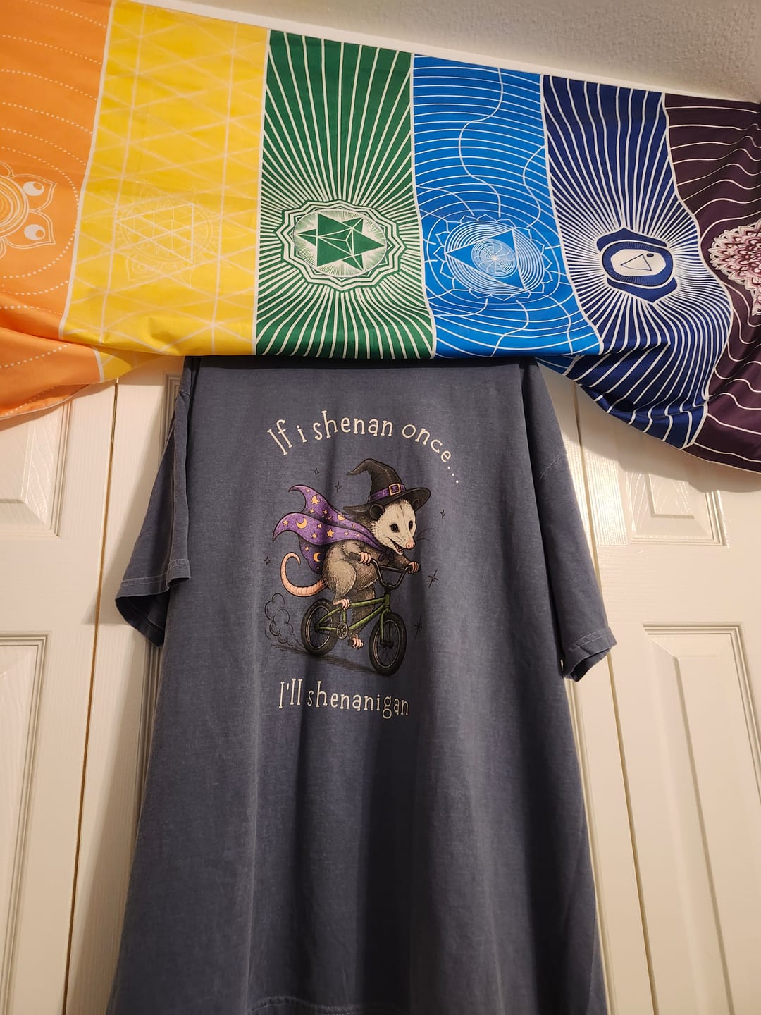 Customer photo review of If I Shenan Once I'll Shenanigan Mischief and Magic T-Shirt