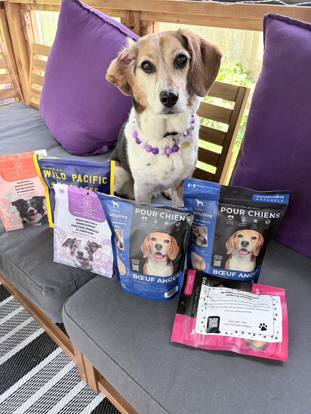 Customer photo review of Angus Beef with Blueberries