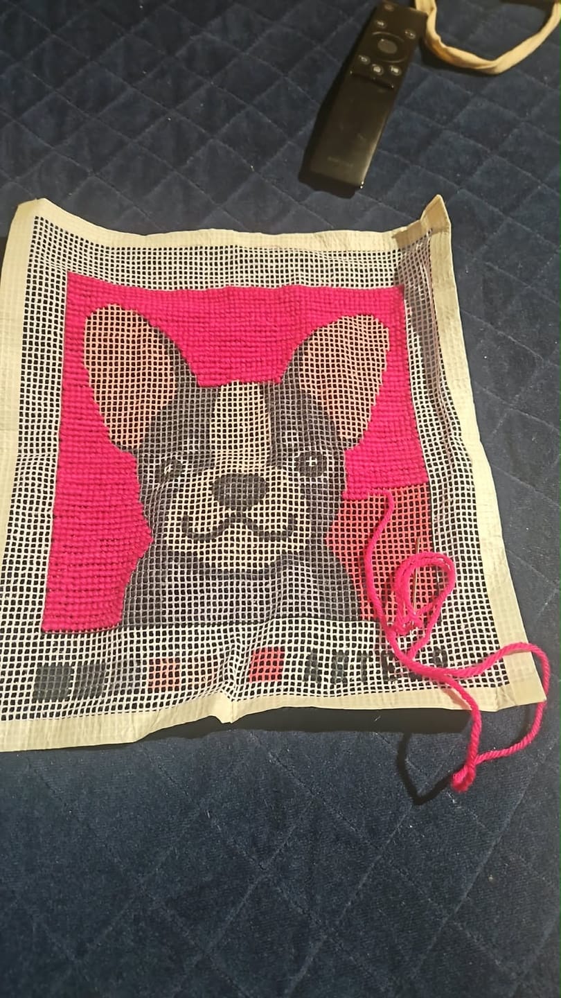 Customer photo review of Kit 20x20 cm perros: bulldog francés