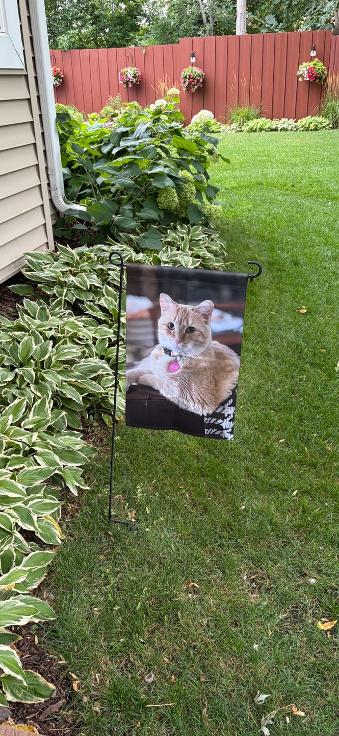 Customer photo review of Your Photo - Personalized Garden Flag