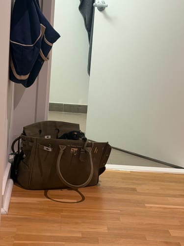 Customer photo review of The Barkin Pet Carrier