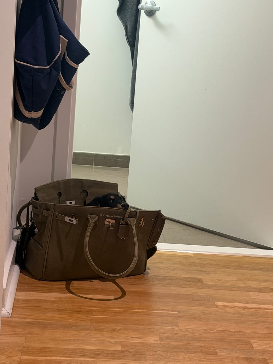 Customer photo review of The Barkin Pet Carrier