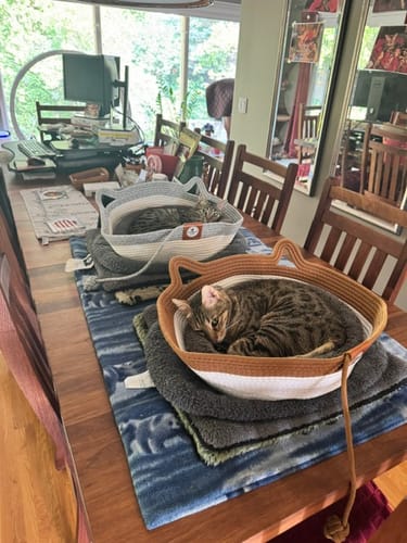 Customer's two cats resting in separate grey and brown Instinct Basket cat beds on a wooden dining table.