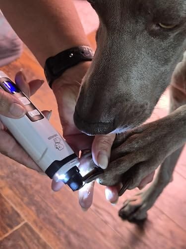 Customer photo review of PawHush Pro™