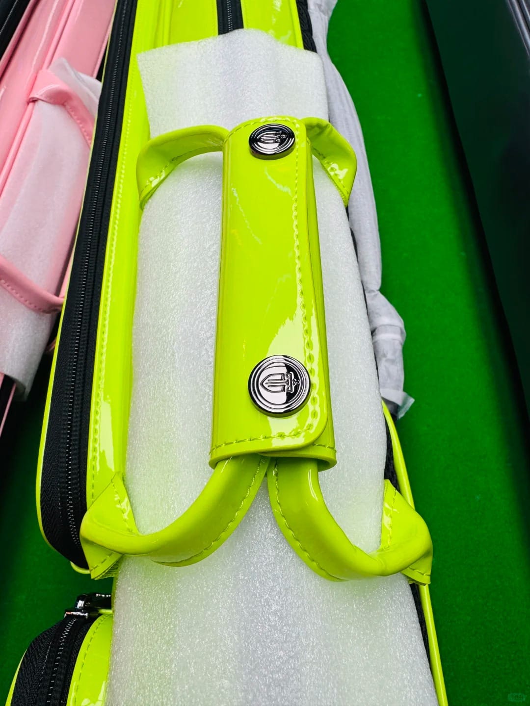 Customer photo review of Lizard Holographic Series Cue Case 3B4S