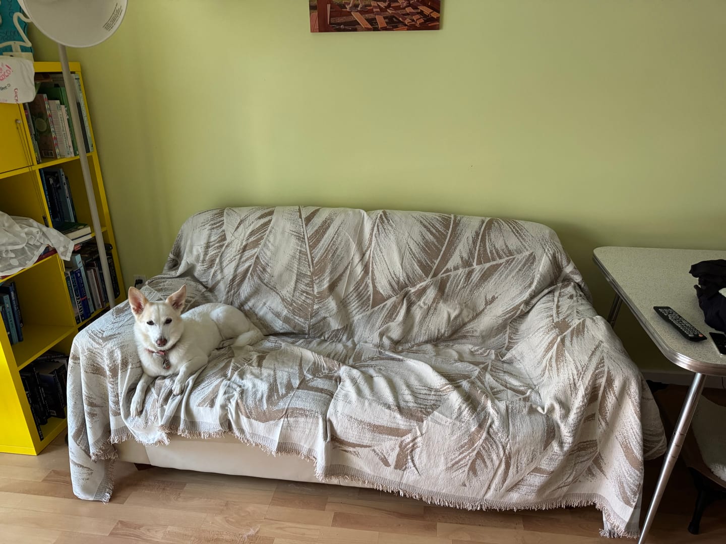 Customer photo review of Pet Couch Cover - Leaves Beige