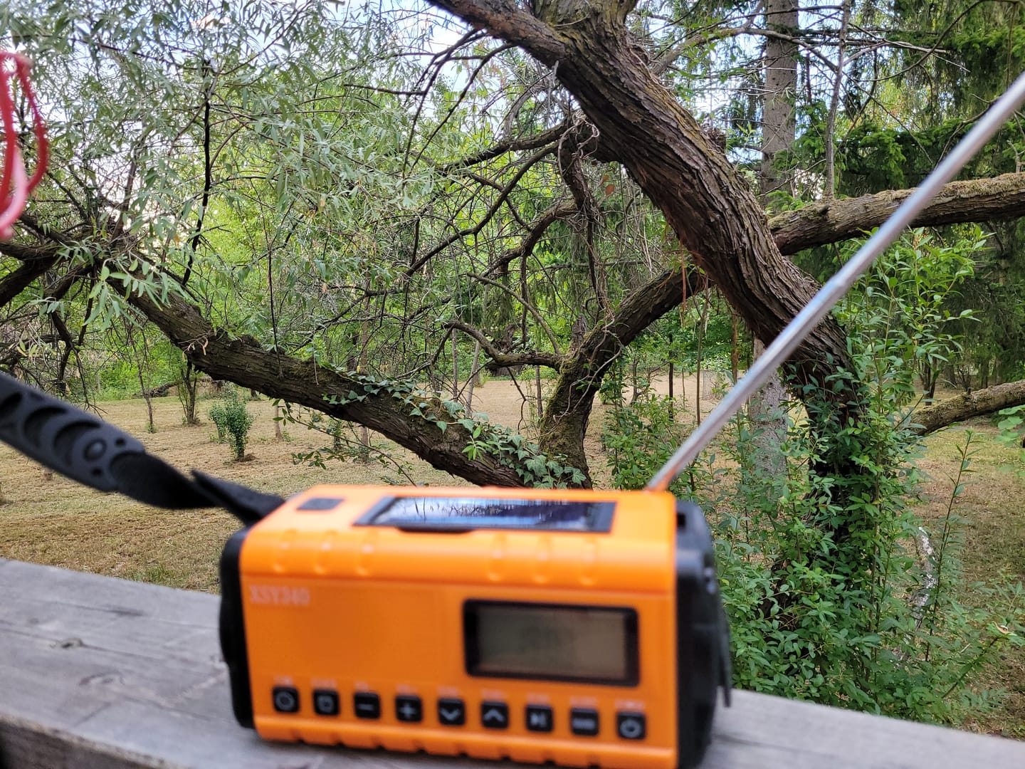 Customer photo review of Dynox Sunbase