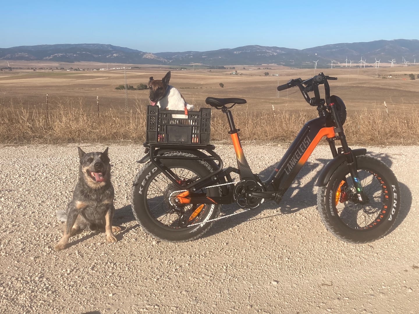 Customer photo review of Lankeleisi RX800 Plus 1000W 20" Fat Bike 960Wh Full Suspension Electric Bike with Torque Sensor 48V 20Ah Battery SUV E-Bike