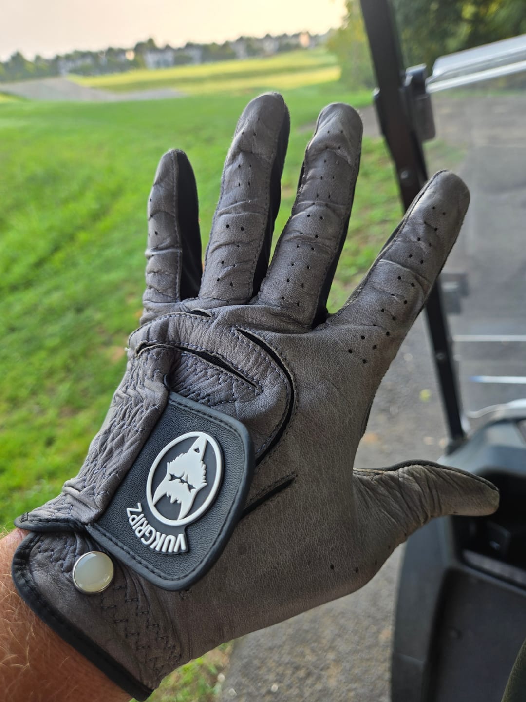 Customer photo review of The Condor Gray Golf Glove
