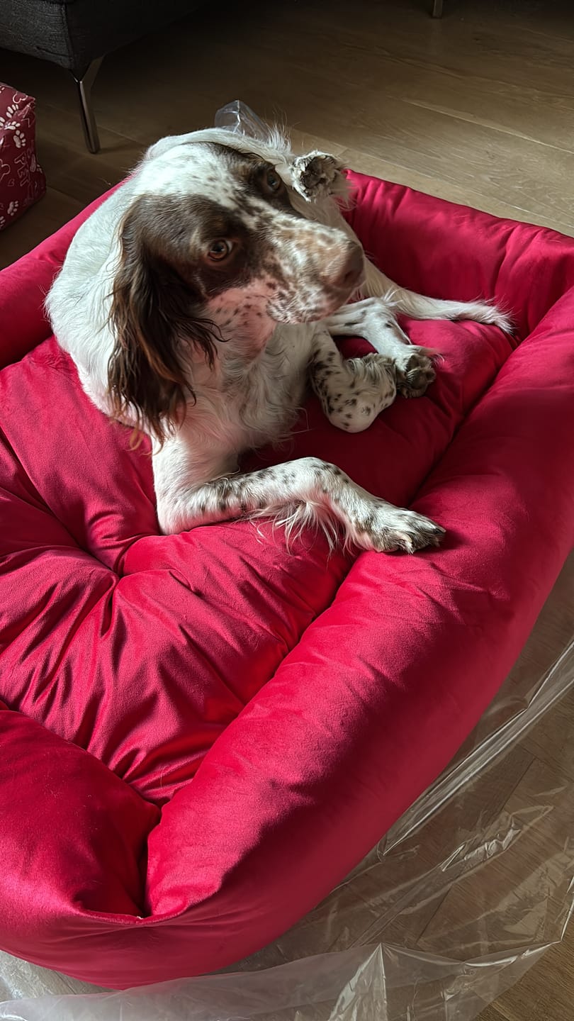 Customer photo review of Divanetto Cotone Quadretto Rosso