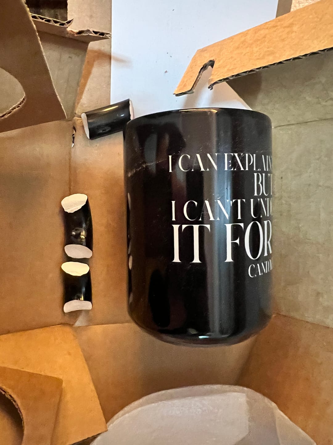 Customer photo review of "I can explain it to you, but I cant understand it for you"  Mug