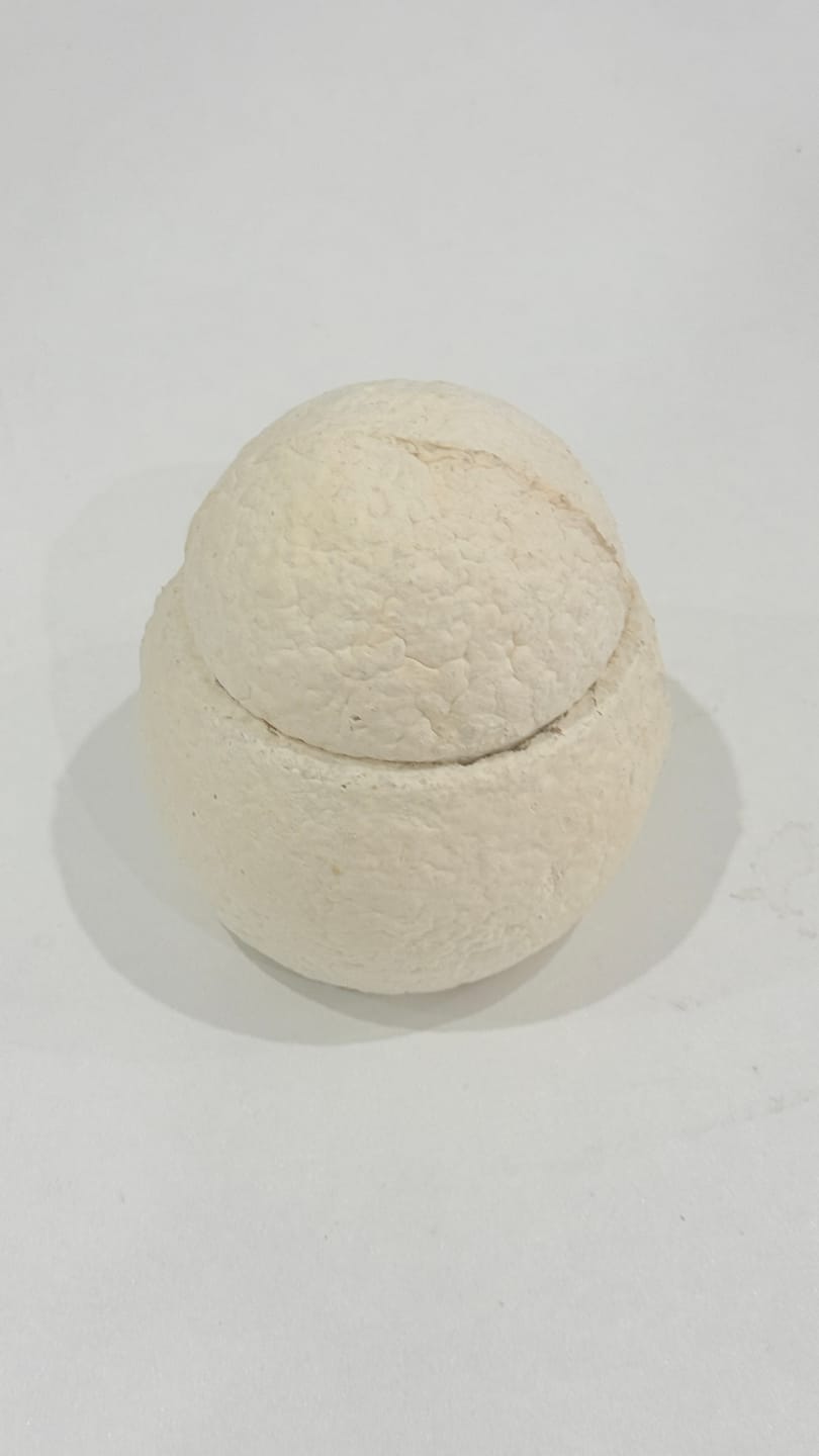 Customer photo review of LovFur™ Snowmelt Mycelium Pet Urn