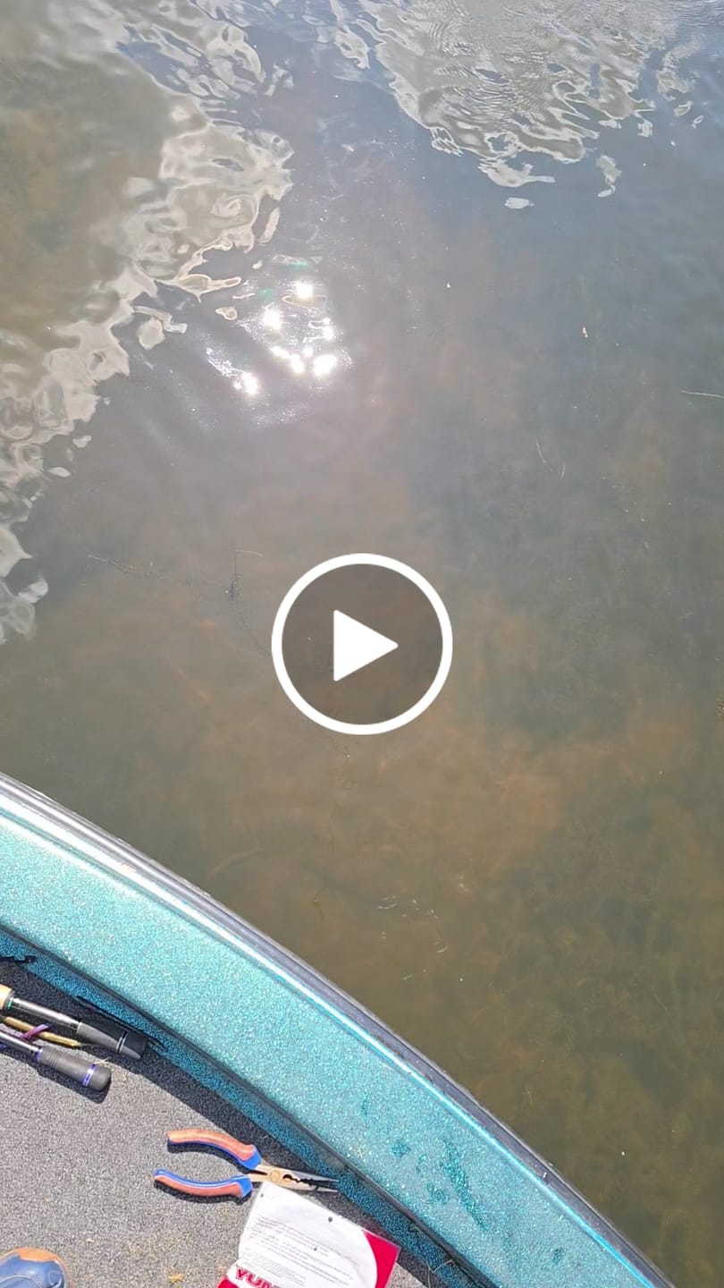 Customer video review of Mini Scissors for Cutting Braided Fishing Line