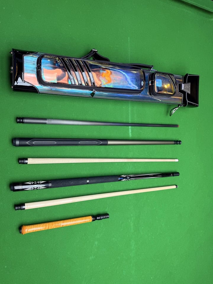 Customer photo review of Lizard Interpretation Series Cue Case 2B4S