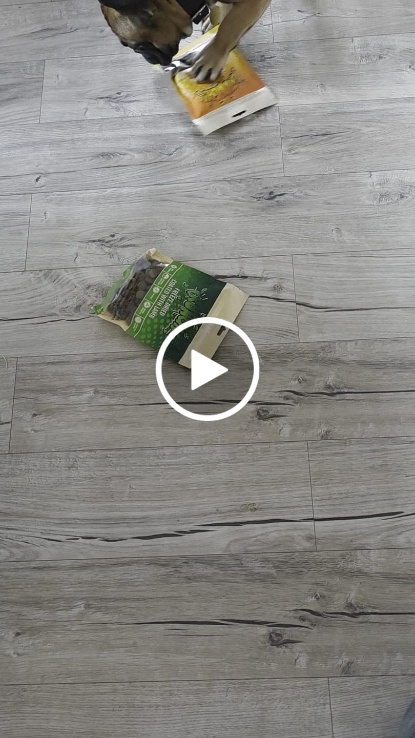 Customer video review of Treateaters - Frysetørret Crunchers, Lam