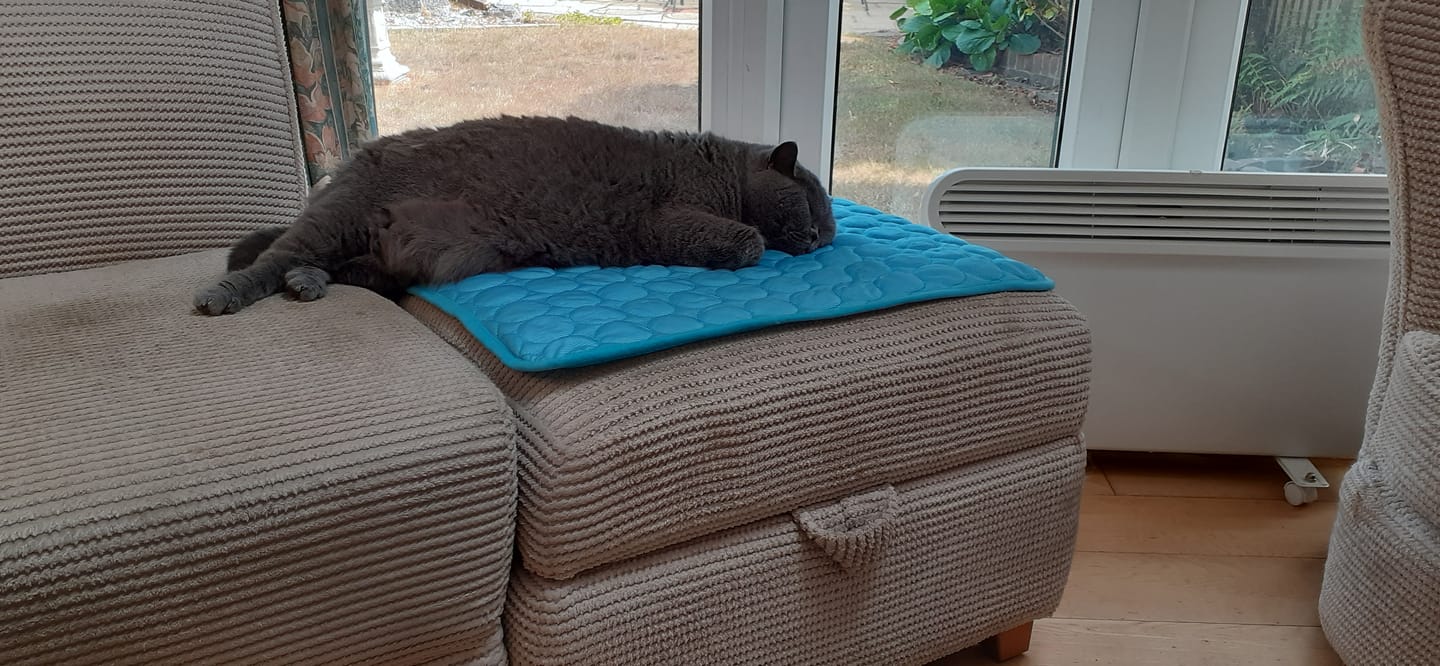 Customer photo review of The Ultimate Cooling Pet Mat