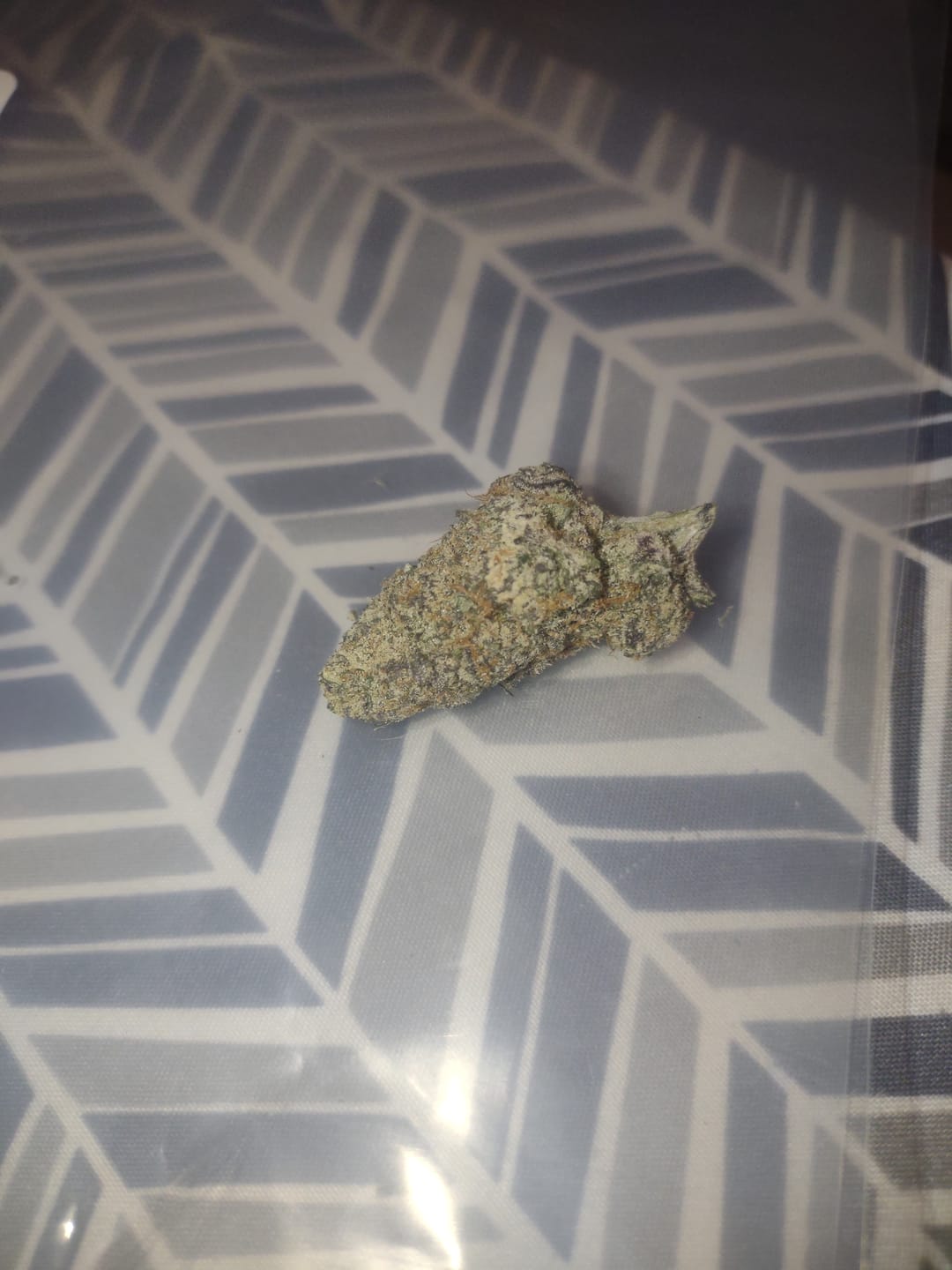 Customer photo review of Cosmic Candy