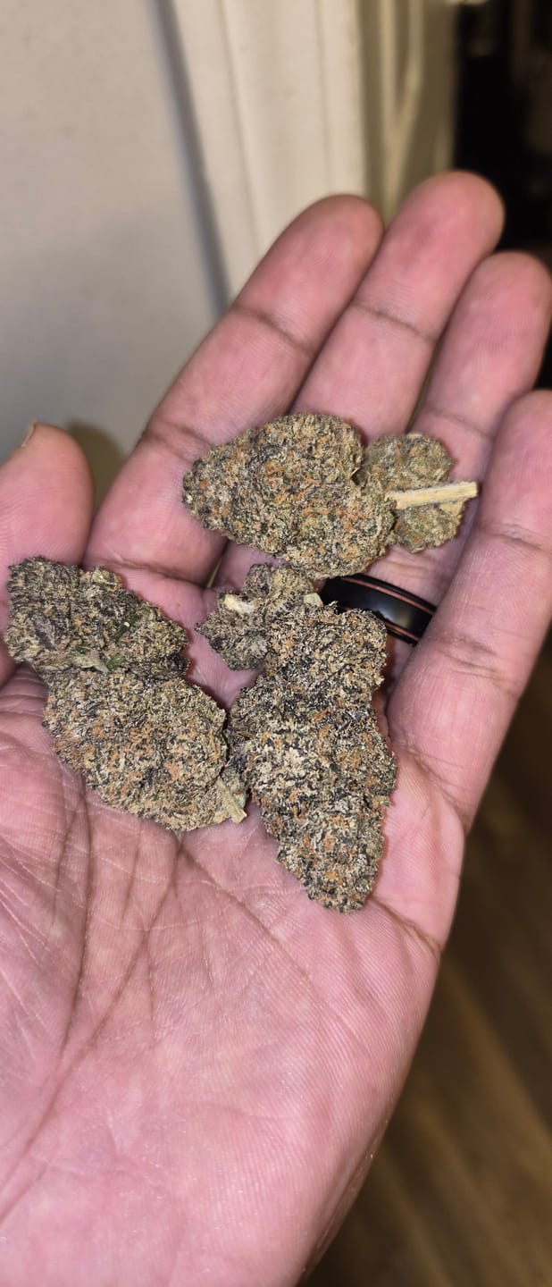 Customer photo review of Ferrari Runtz #2 - Indoor