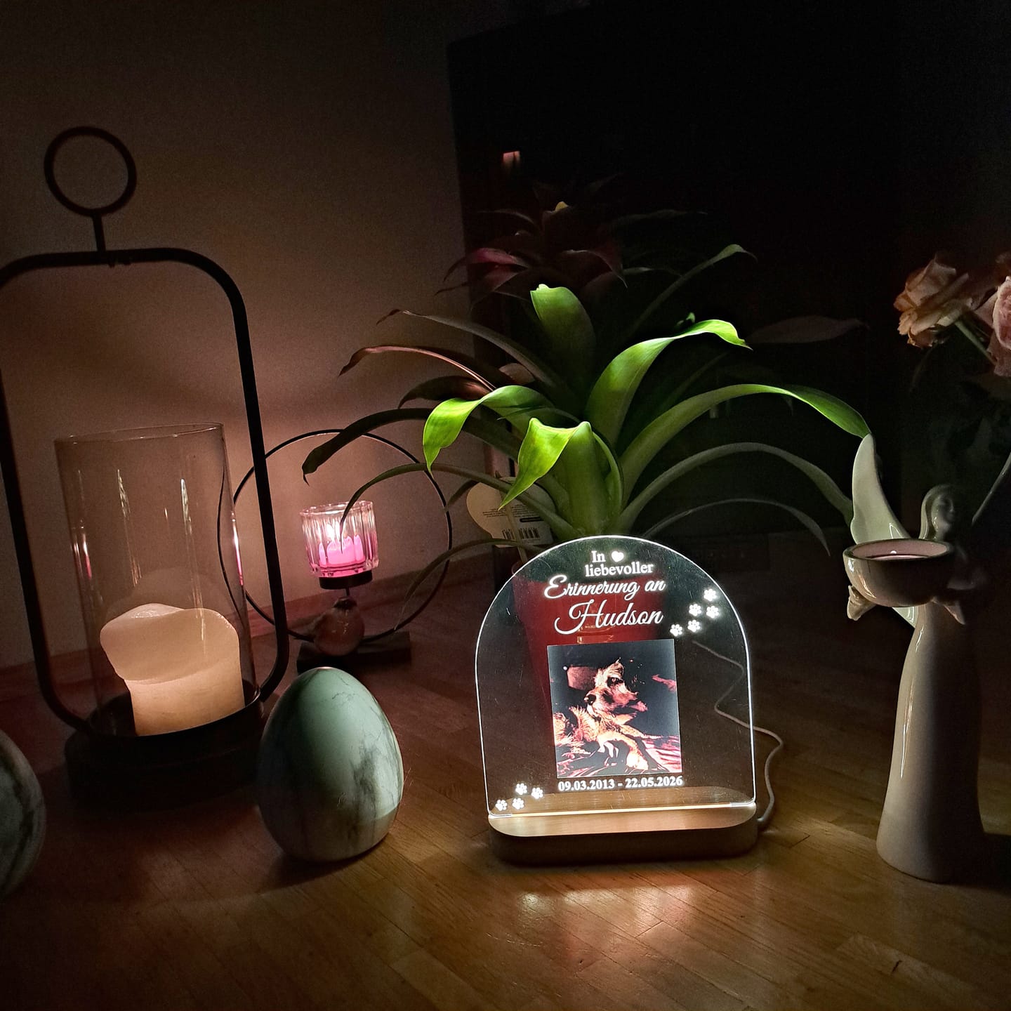 Customer photo review of Zur liebevollen Erinnerung – LED-Lampe für Hund/Katze