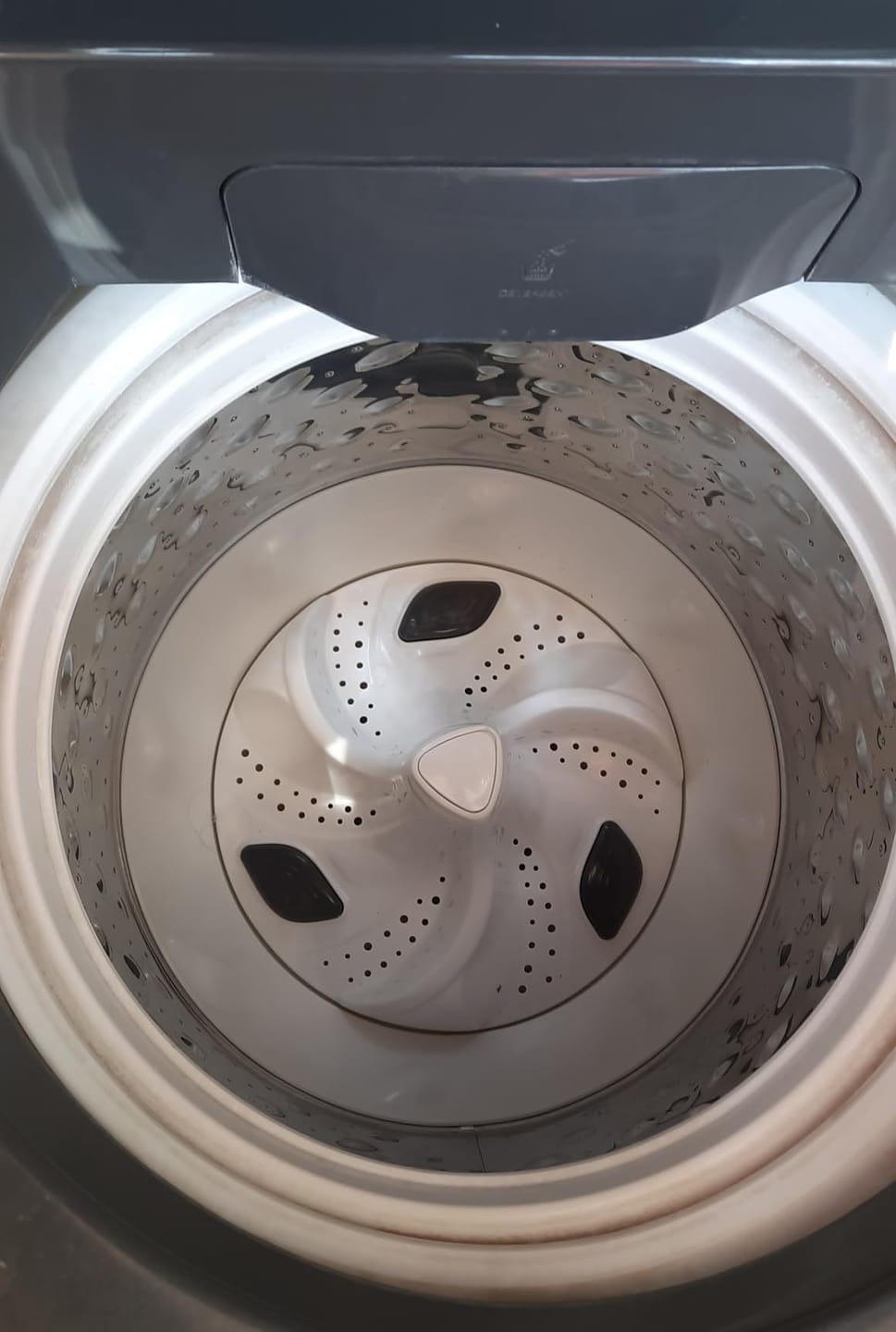 Customer photo review of Washing Machine Cleaner