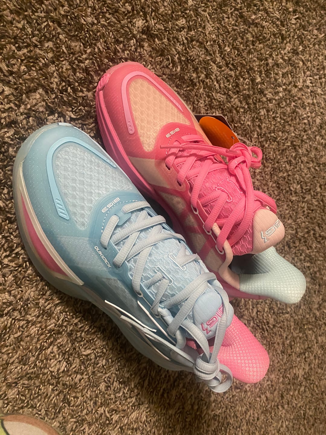 Customer photo review of BIG3 4.0 Quick "Reverse"