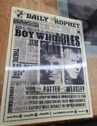 Customer photo review of The Daily Prophet Magic Frame