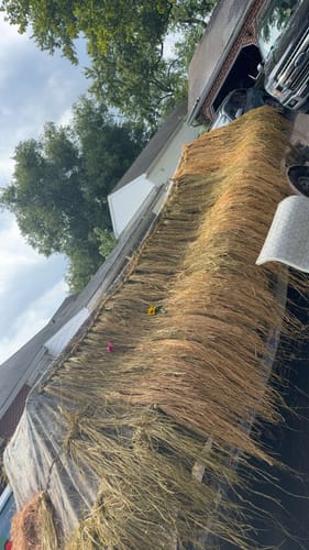 Customer photo review of Madagascar Raffia — Multi-Color Packs