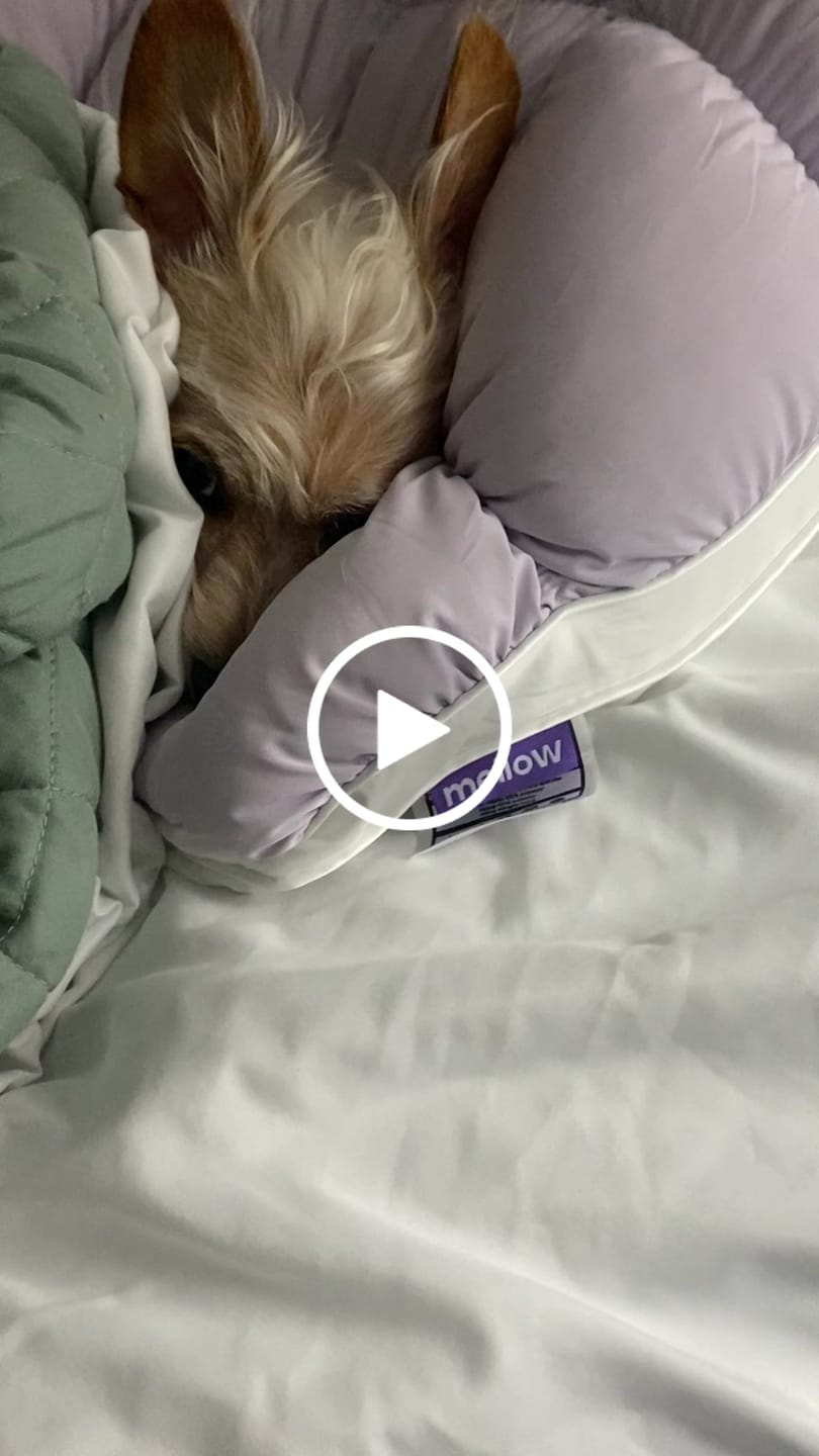 Customer video review of Puff Pillow