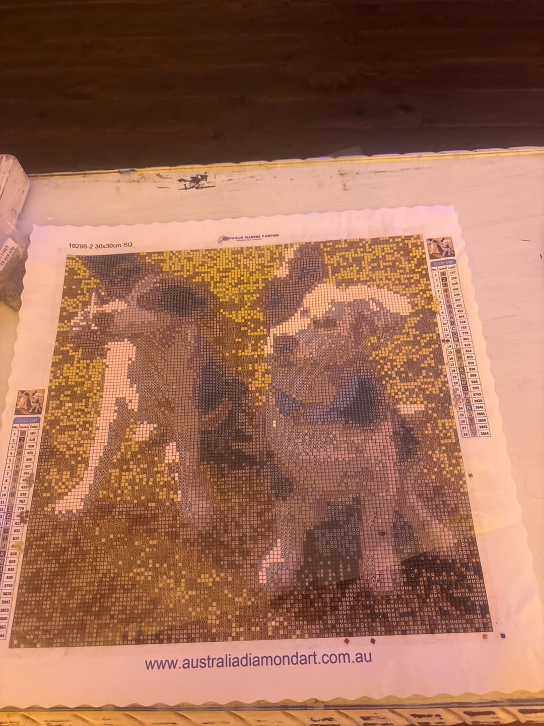 Customer photo review of Custom Diamond Painting