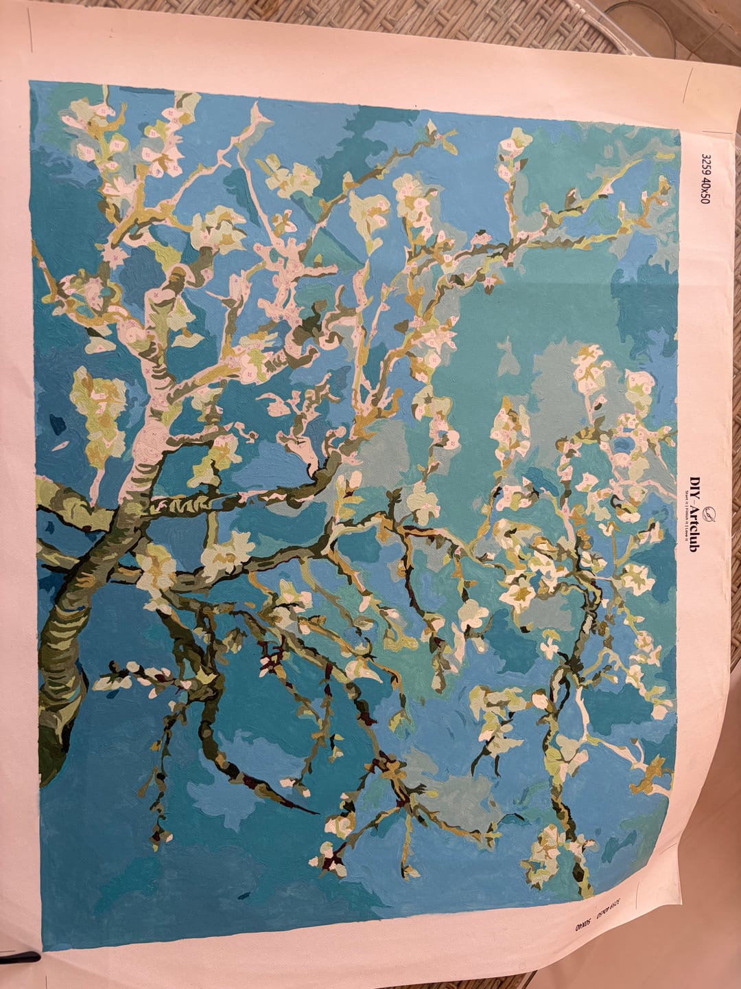 Customer photo review of Almond Blossoms | Vincent Van Gogh | Paint by Numbers