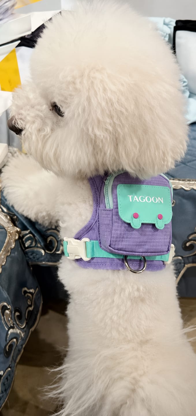 Customer photo review of PACKiTAIL™ Pet Backpack Harness