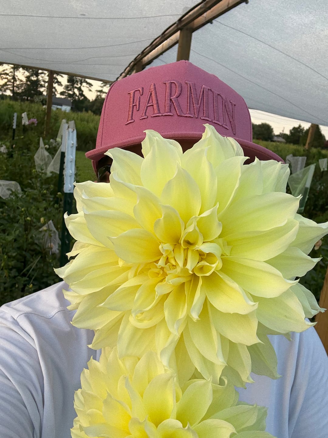 Customer photo review of Farmin' Hat
