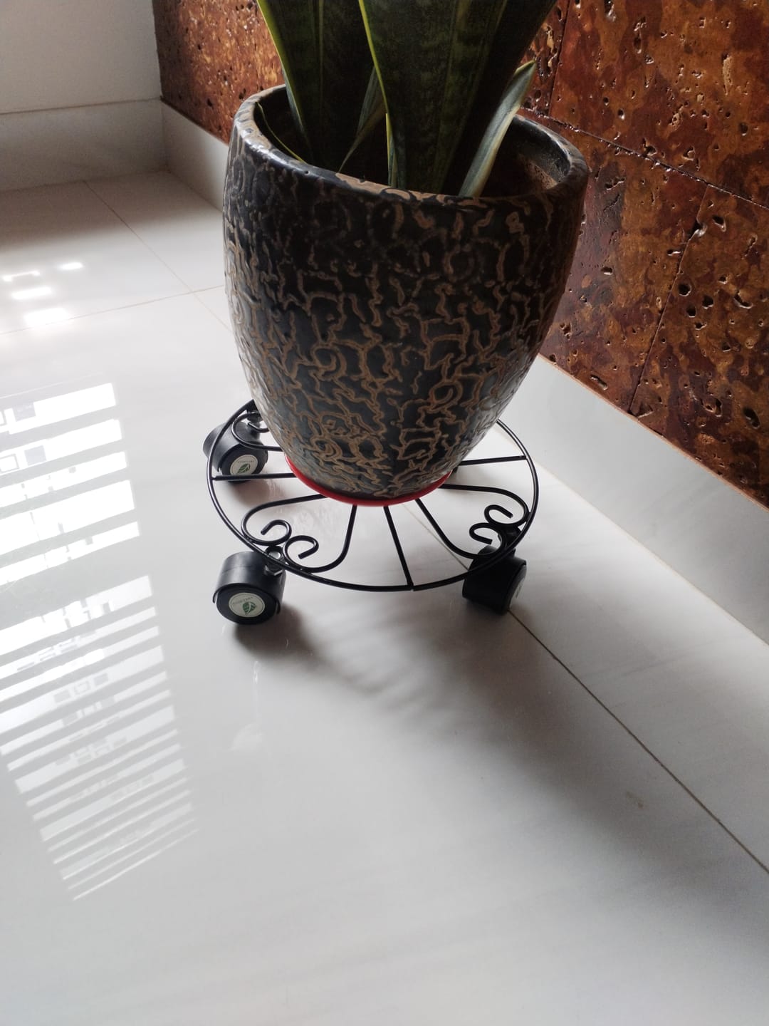 Customer photo review of TryGreen Fyra Wheel Rolling Plant Stand for Planters