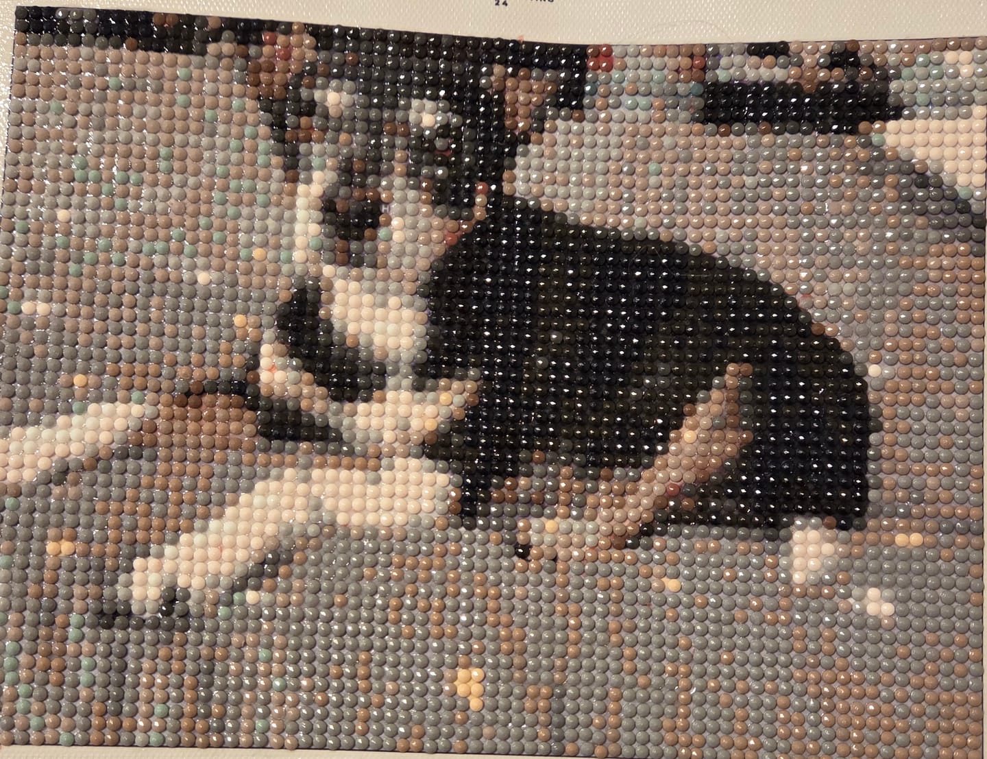 Customer photo review of Diamond Painting - Custom Photo