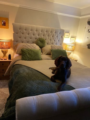 Customer photo review of Quebec Chesterfield Sleigh Stripe Scroll Bed