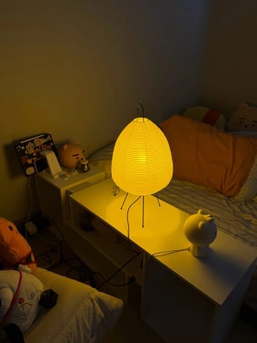 Customer photo review of Japanese Paper Lantern Floor Lamp | Stand Light for Home