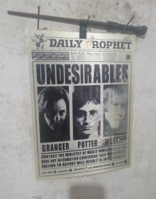 Customer photo review of The Daily Prophet Magic Frame