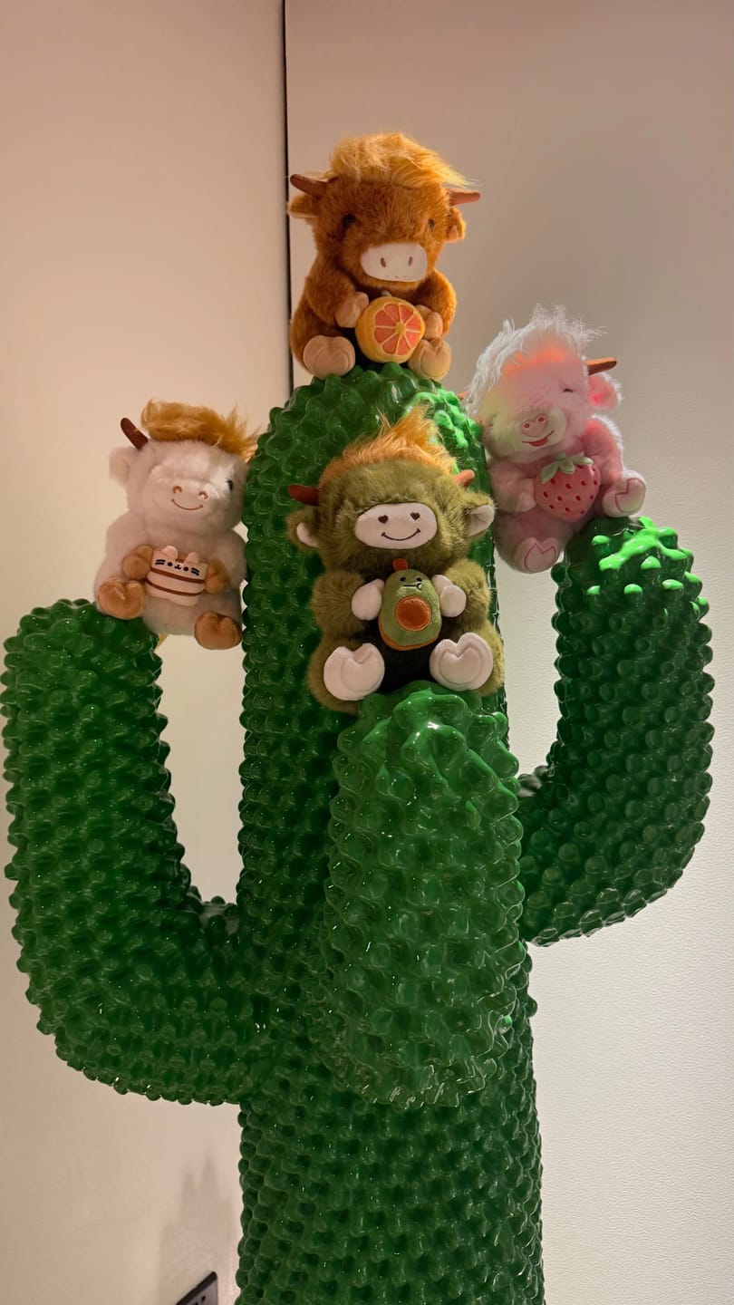 Customer photo review of Highland Cow Plushies
