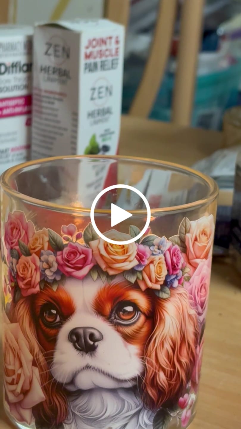 Customer video review of Cavalier King Spaniel Brown Roses Xlarge Candle
