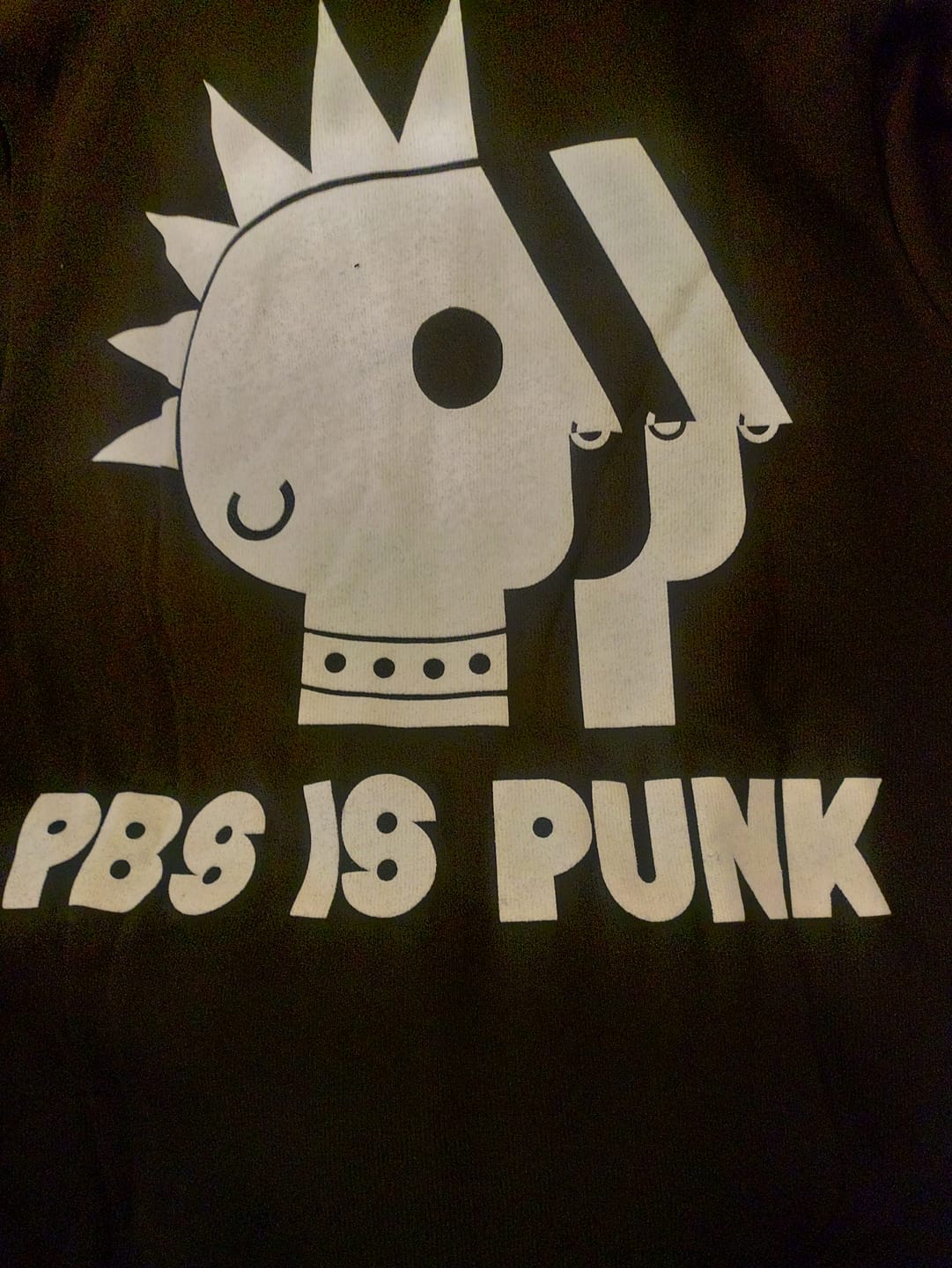 Customer photo review of PBS is Punk Zip-up Hoodie