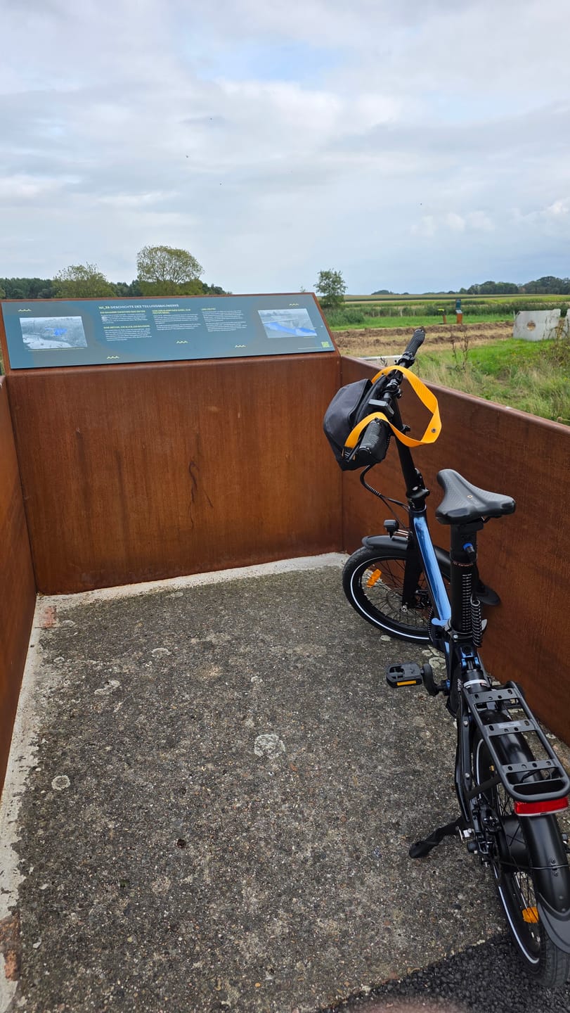 Customer photo review of Onemile Nomad Lite Urban Electric Bike