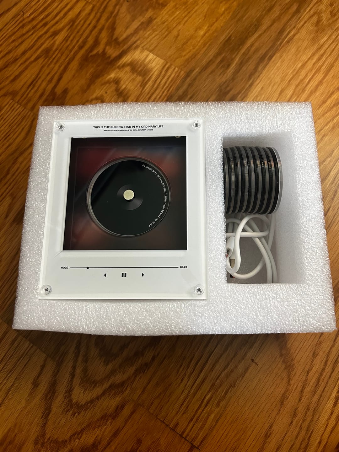 Customer photo review of RealmTunes™ Music Magnet