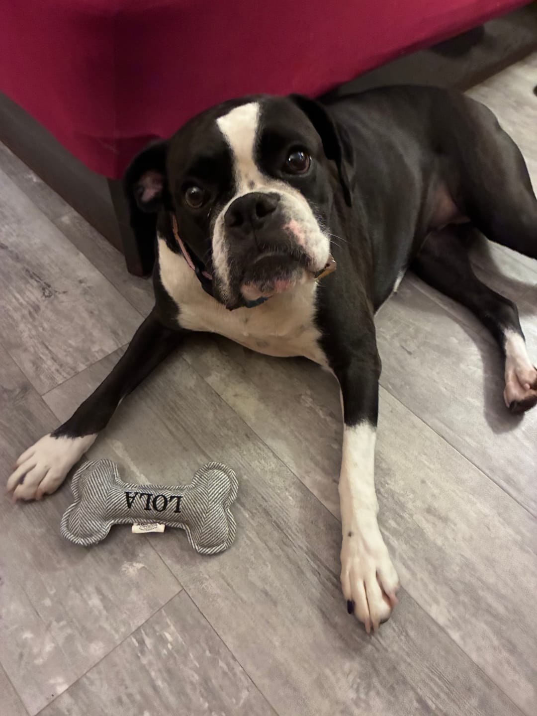 Customer photo review of Bestie Balance